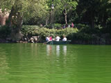 paseo por el lago