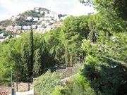 El paisaje